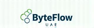 ByteFlow UAE Logo